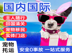 奔牛机场物流国际宠物托运 【国